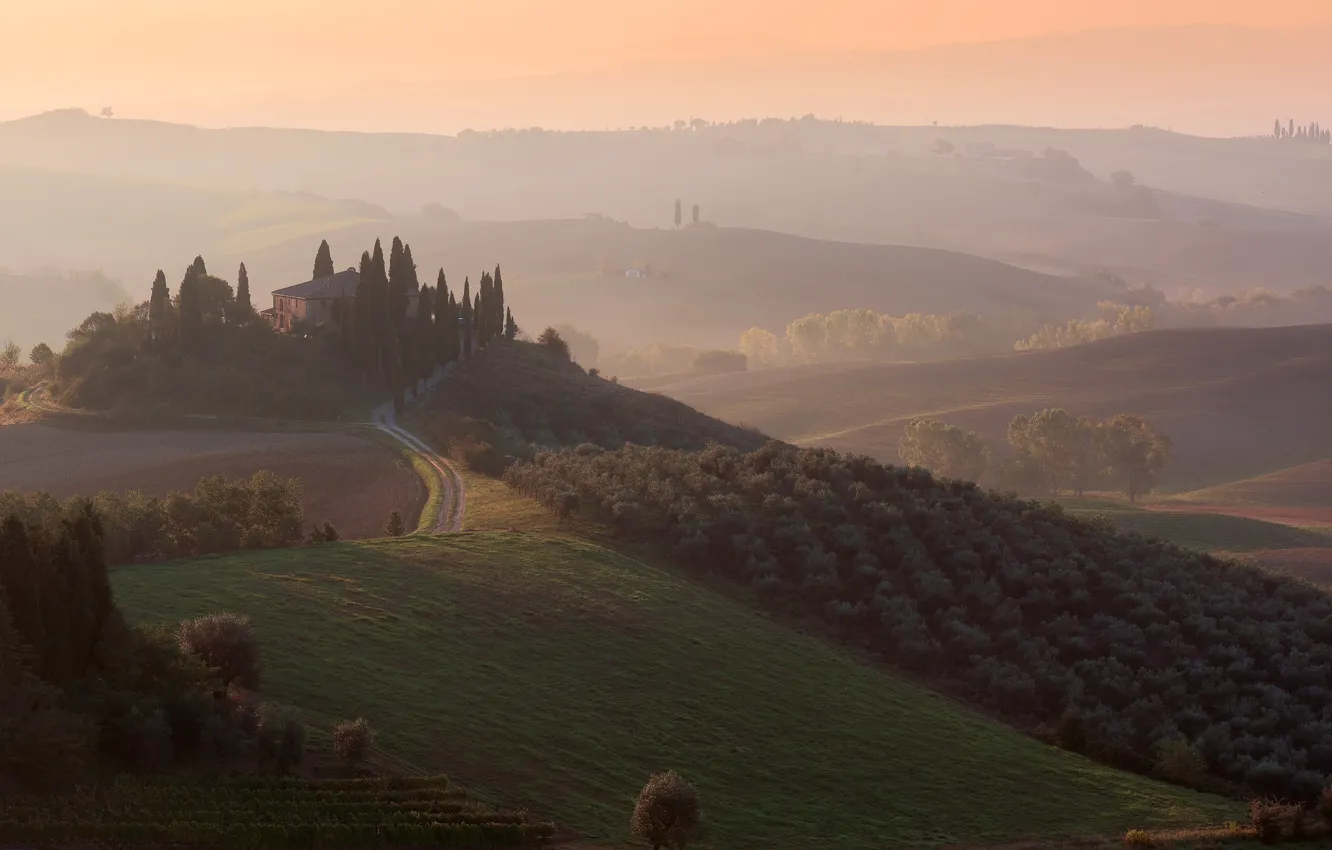 Photo wallpaper road, field, trees, mountains, fog, dawn, hills, home