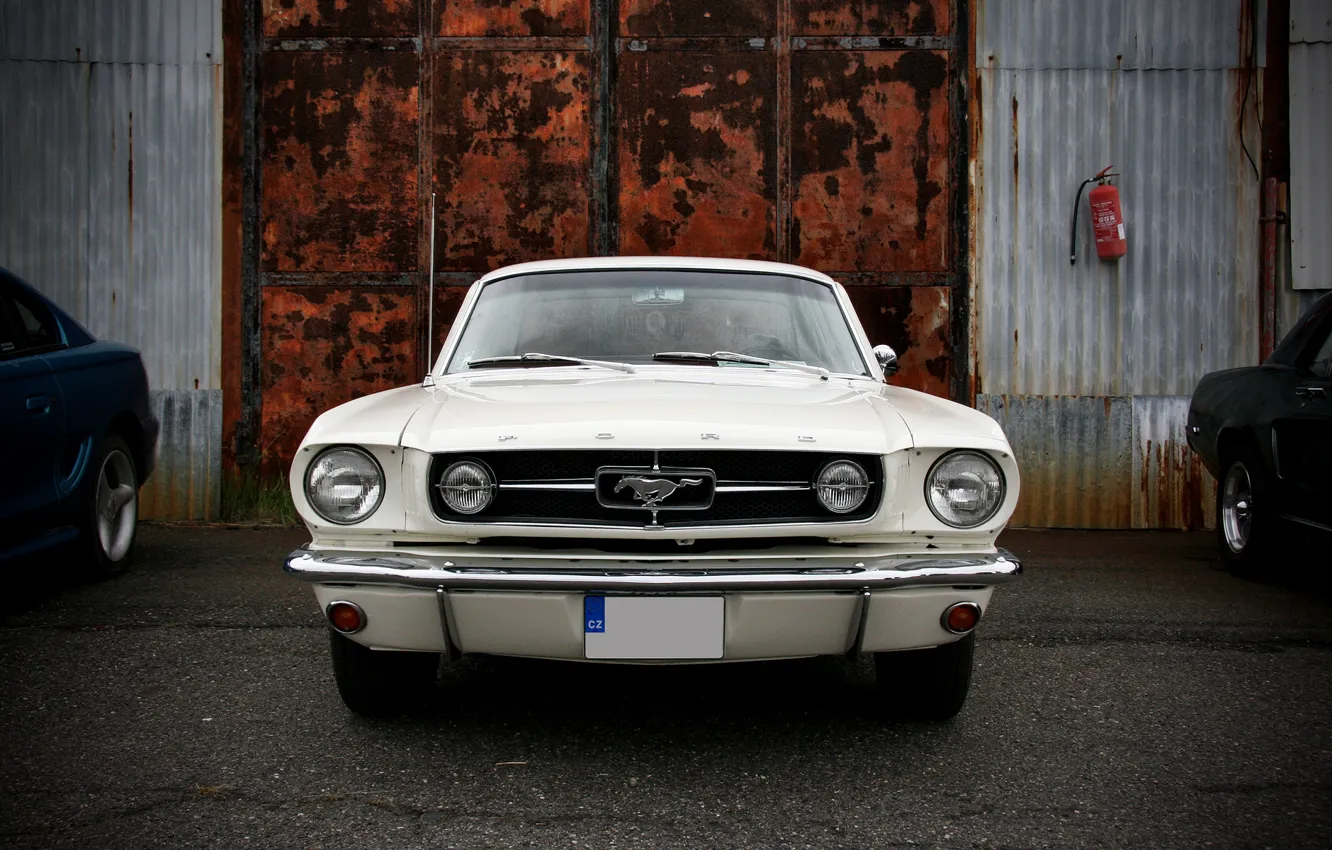 Photo wallpaper white, gate, Mustang