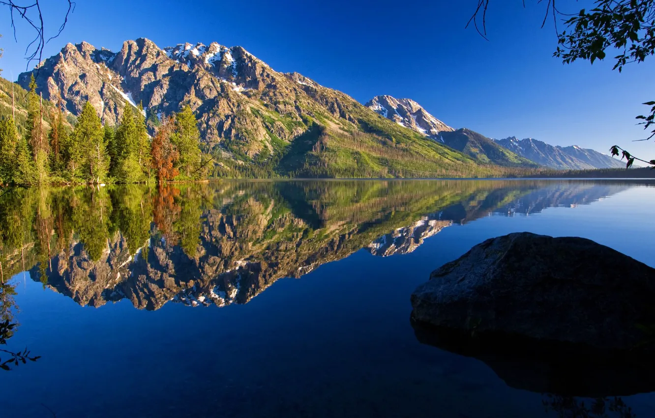 Photo wallpaper trees, mountains, nature, reflection, stones, Wyoming, USA, Grand Teton National Park