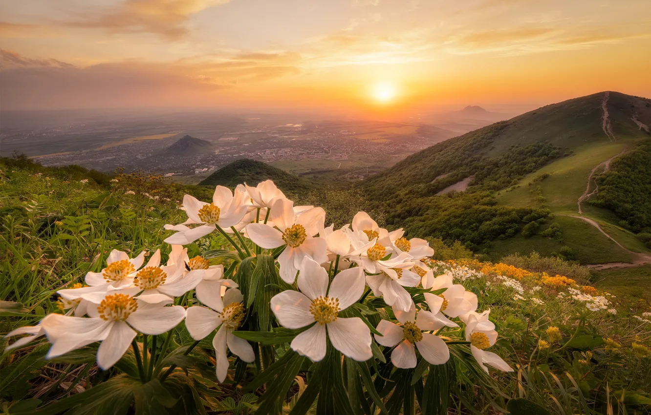 Photo wallpaper sunset, flowers, mountains, valley, Russia, Stavropol Krai, Caucasian Mineral Waters, Sergey Altushkin