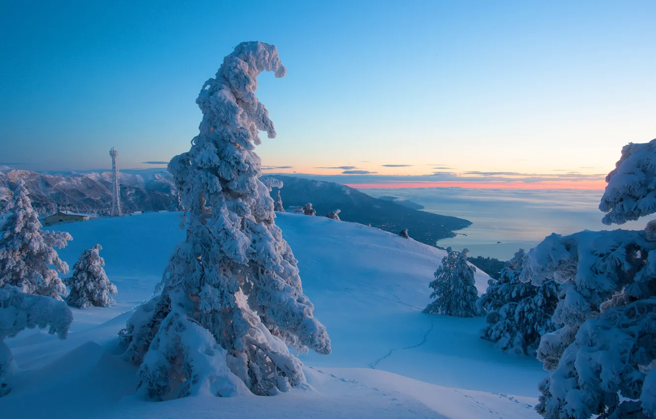Photo wallpaper winter, sea, snow, trees, landscape, mountains, nature, ate
