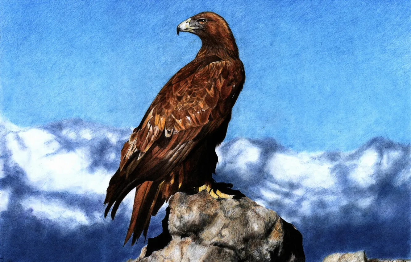 Photo wallpaper bird, eagle, figure, art