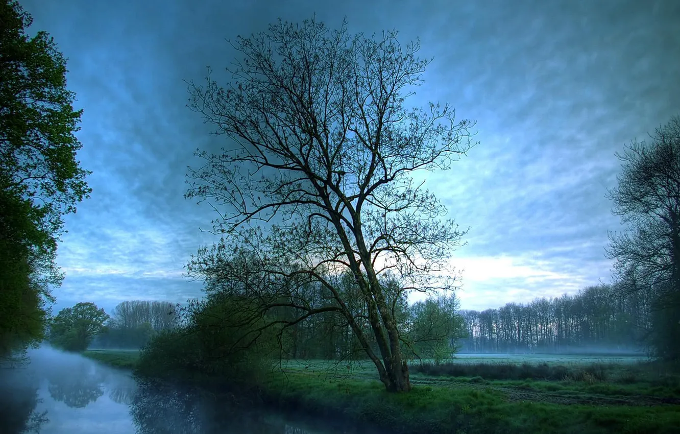 Photo wallpaper nature, fog, morning, river, twilight, cool