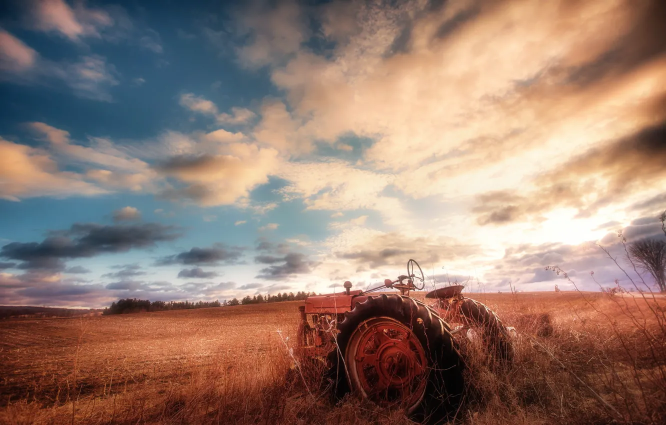 Photo wallpaper field, the sky, tractor