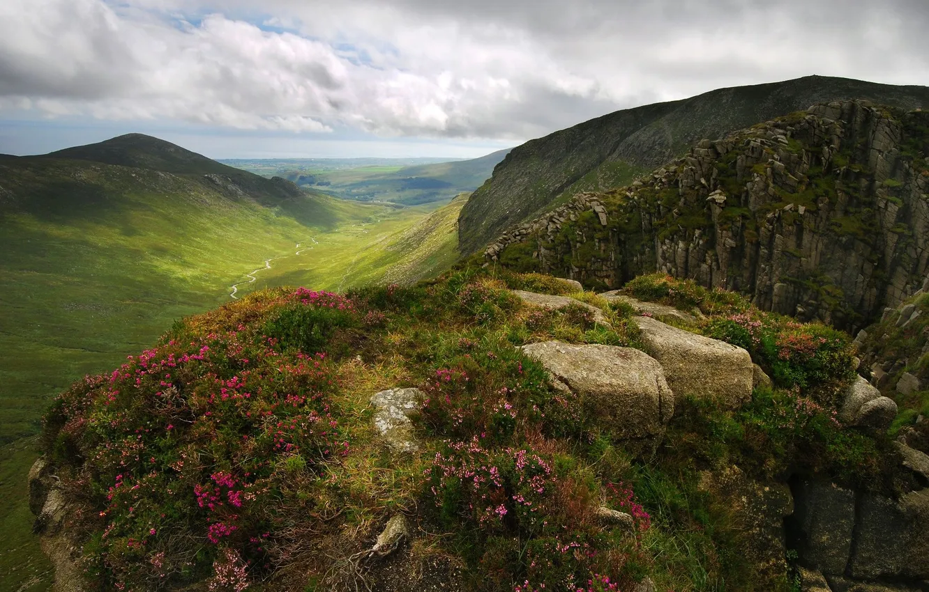 Photo wallpaper the sky, clouds, landscape, flowers, mountains, nature, rocks, plant