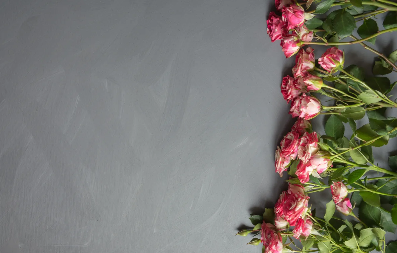 Photo wallpaper flowers, roses, bouquet, pink, buds, Lazhko Svetlana