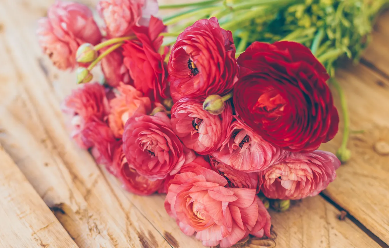 Photo wallpaper flowers, bouquet, Ranunculus