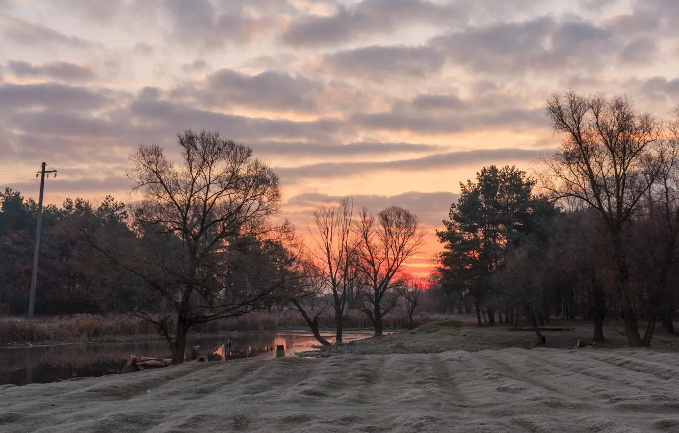 Photo wallpaper frost, autumn, dawn, morning, frost