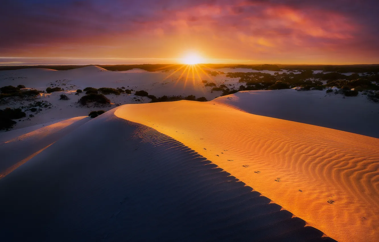 Photo wallpaper sand, sunset, dunes, Australia, South Australia, Kangaroo Island, Vivonne Bay, Little Sahara