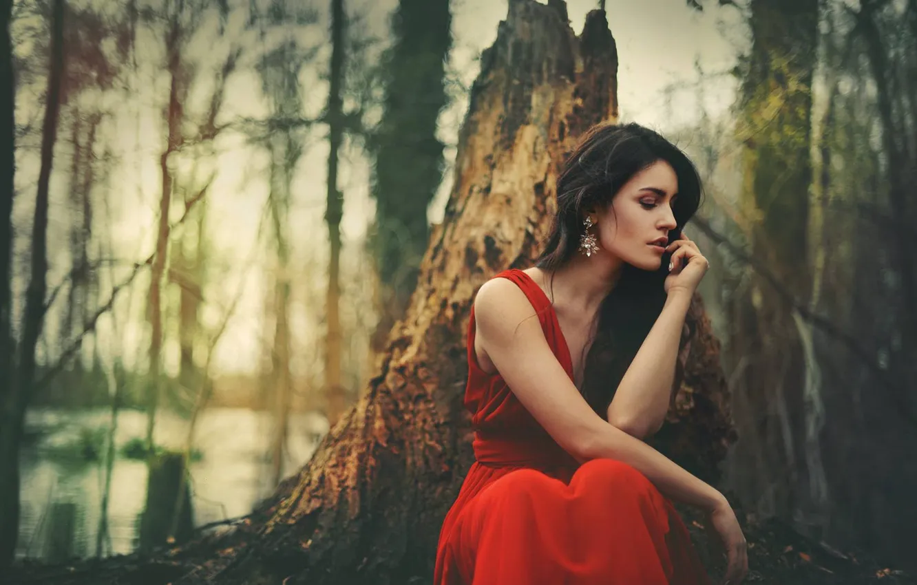 Photo wallpaper forest, girl, trees, branches, nature, pose, shore, stump