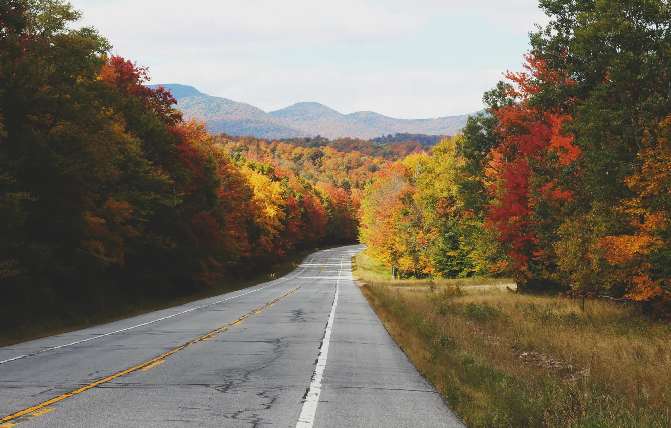 Photo wallpaper road, autumn, asphalt, trees, hills