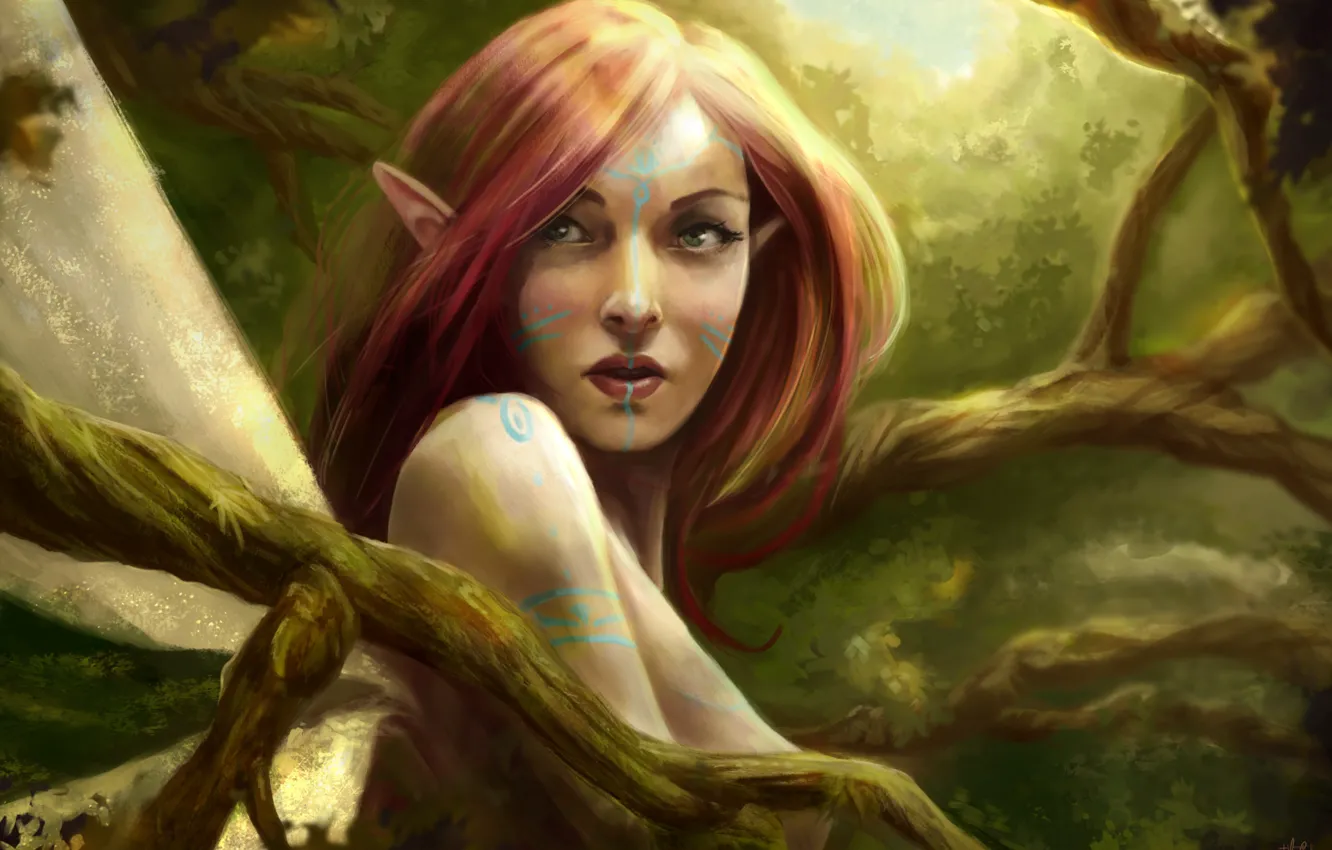 Photo wallpaper look, trees, nature, art, elf, fantasy, ears