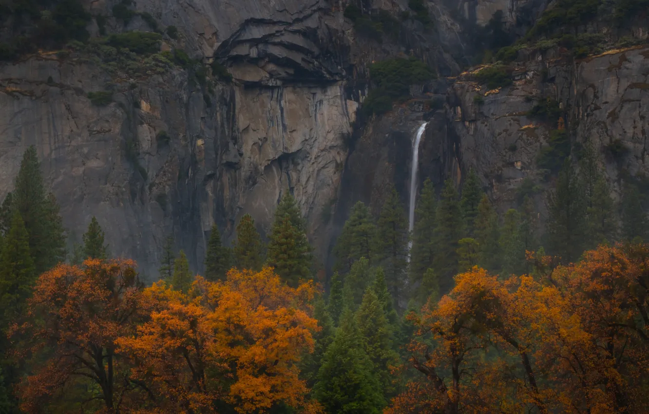 Photo wallpaper autumn, trees, mountains, rocks, waterfall