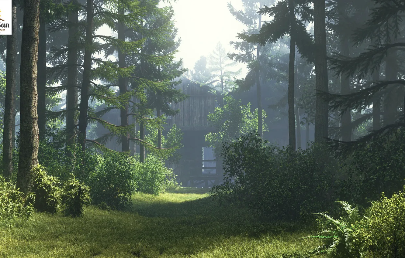 Photo wallpaper road, forest, summer, vegetation, Old house