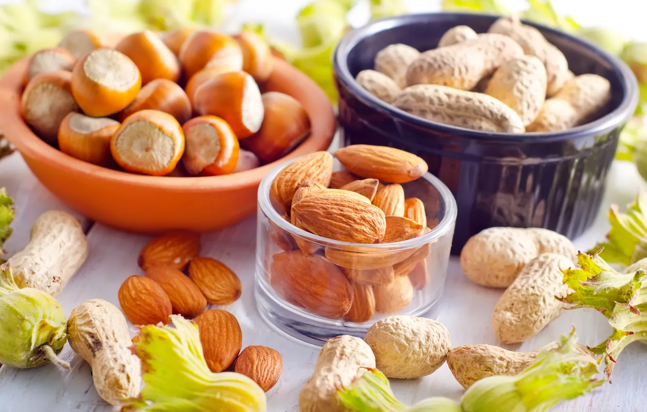 Photo wallpaper dishes, nuts, almonds, hazelnuts, forest