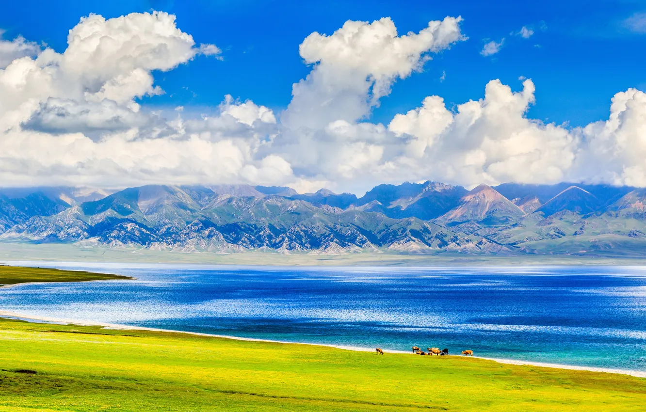 Photo wallpaper summer, clouds, mountains, beauty, space, summer, pond, blue sky