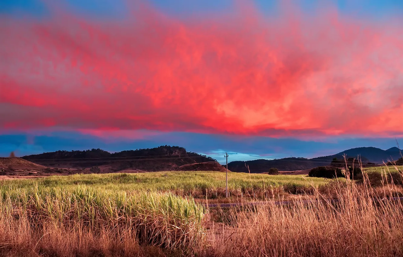 Photo wallpaper road, the sky, obloka