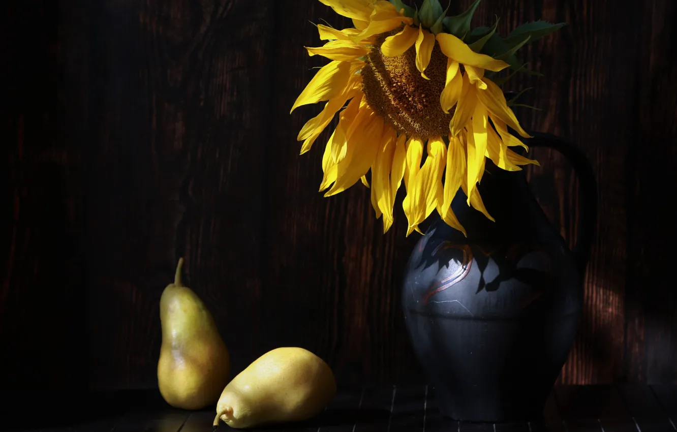 Photo wallpaper light, sunflowers, flowers, pitcher, black background, pear