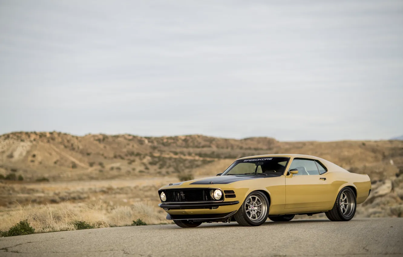 Photo wallpaper Mustang, Boss 302, 1970, Desert