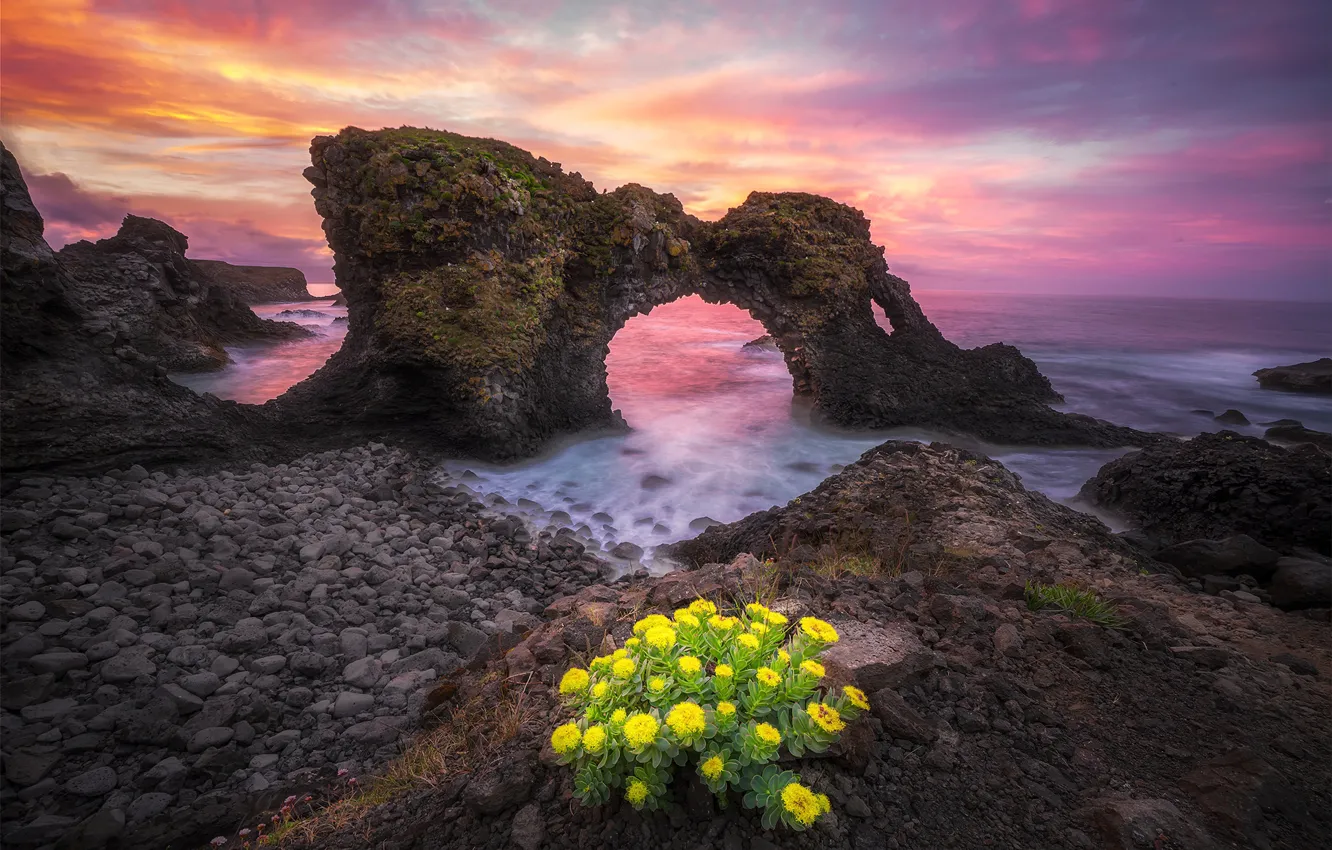 Photo wallpaper sea, landscape, sunset, flowers, nature, stones, rocks, shore