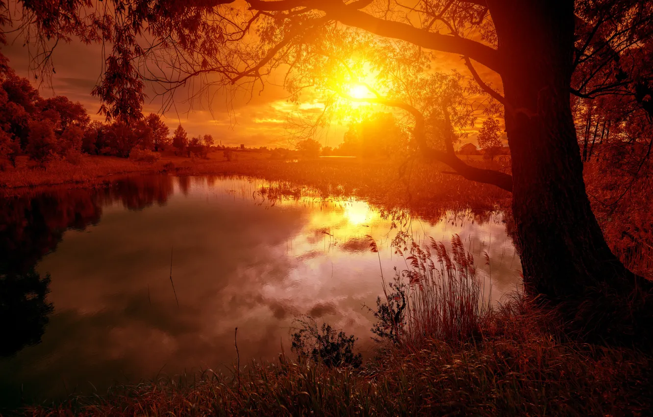Photo wallpaper the sun, trees, reflection, river, sunrise, river, trees, sunrise
