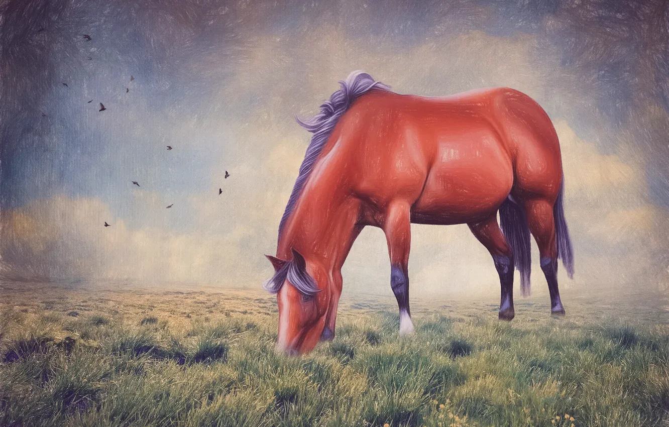 Photo wallpaper horse, horse, figure, art, painting