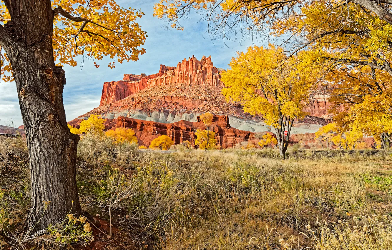 Photo wallpaper autumn, grass, trees, mountains, nature, rocks, Utah, USA