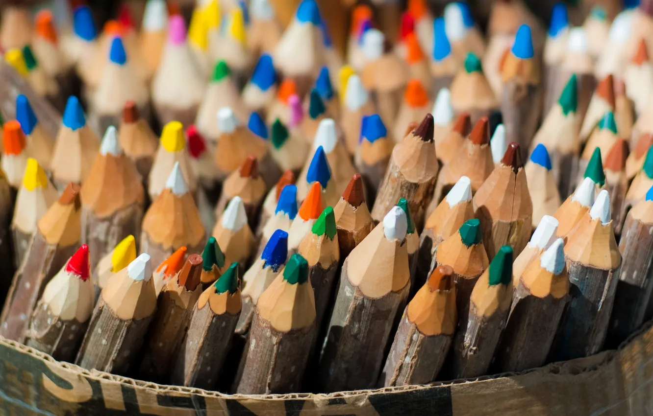 Photo wallpaper macro, color, pencils