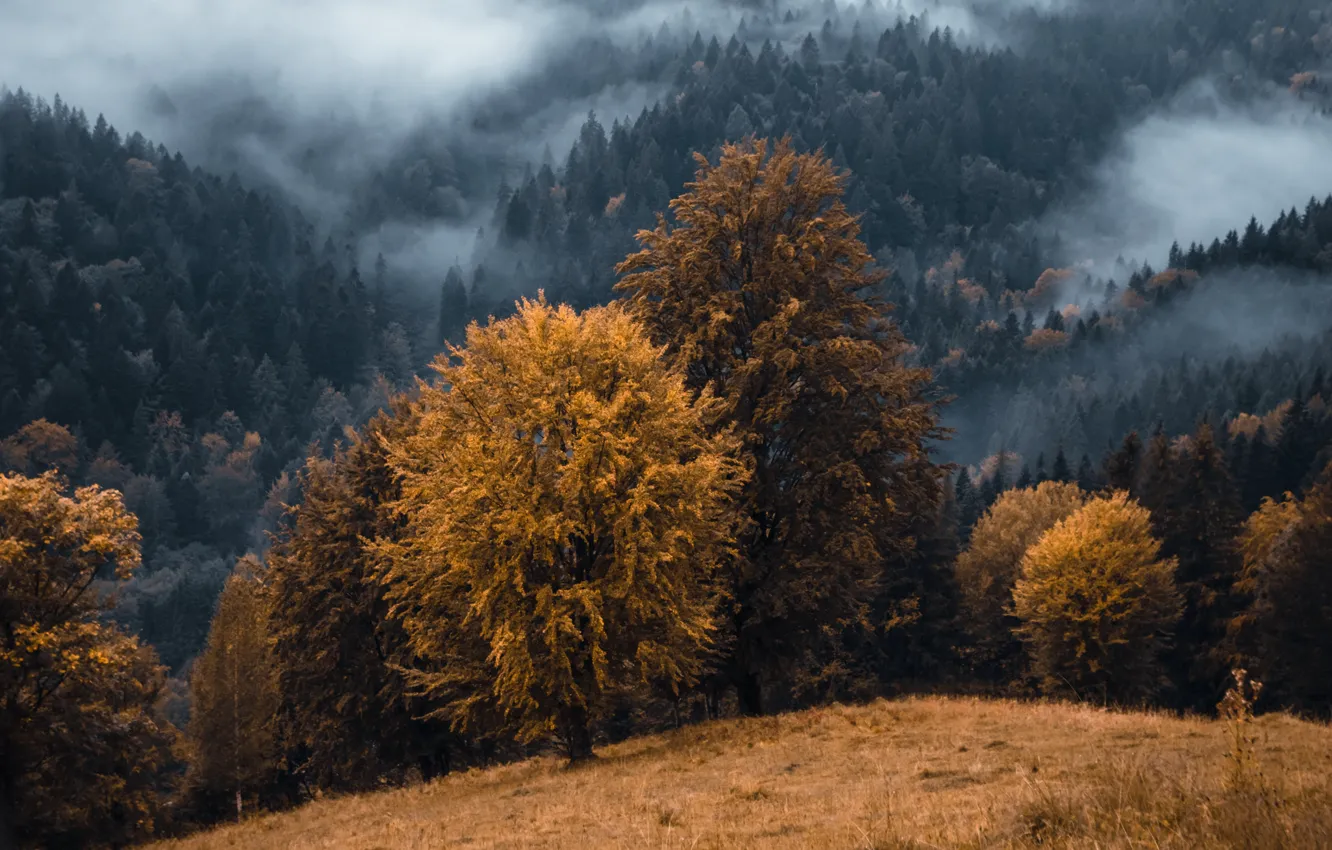 Photo wallpaper autumn, mountains, fog