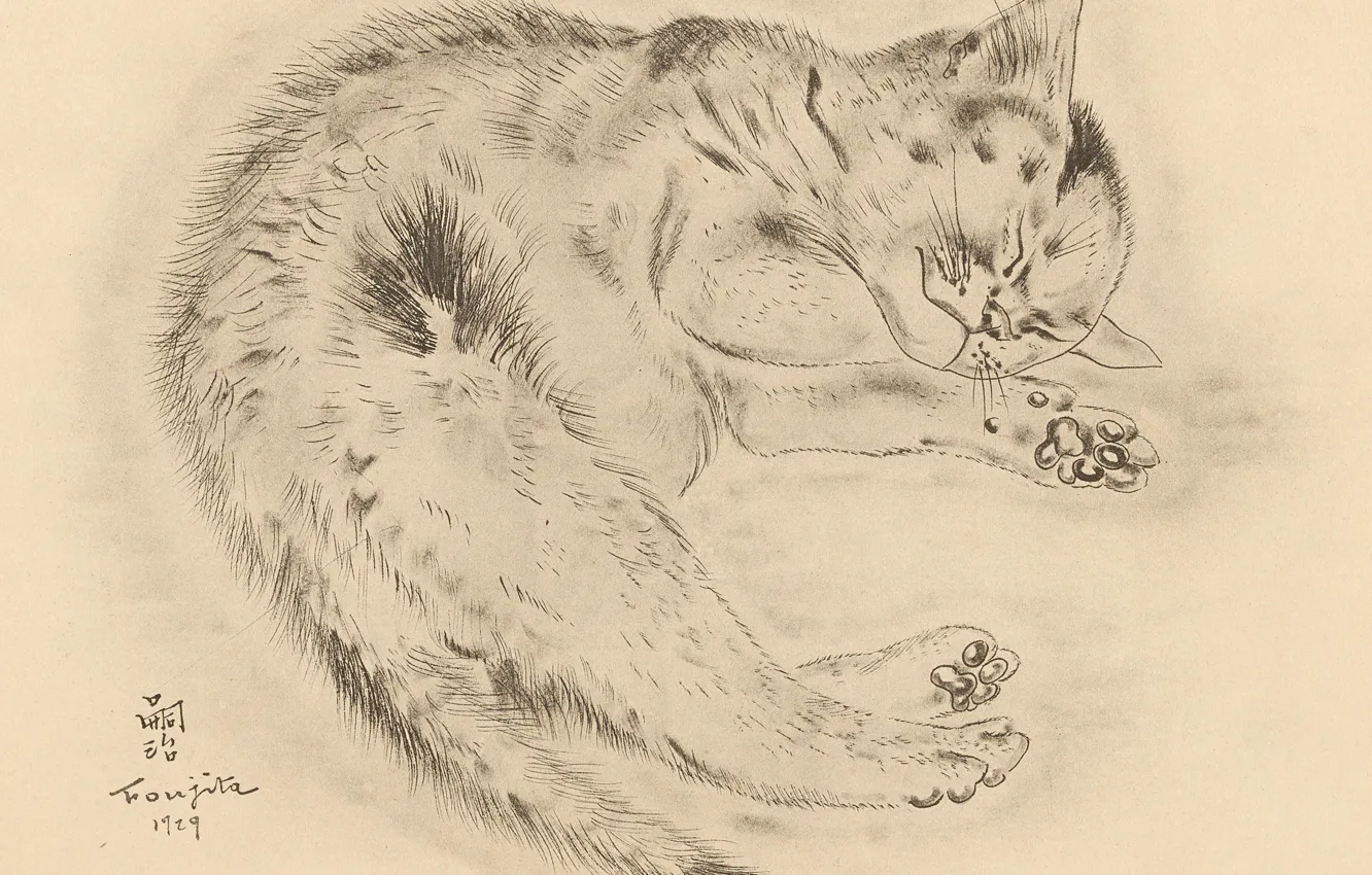 Photo wallpaper cat, fluffy, sleeping, cutie, 1929, Tsuguharu Foujita, The Book Of Cats