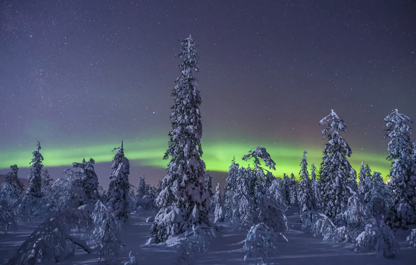 Photo wallpaper winter, snow, trees, Northern lights, Finland, Finland, Lapland, Lapland