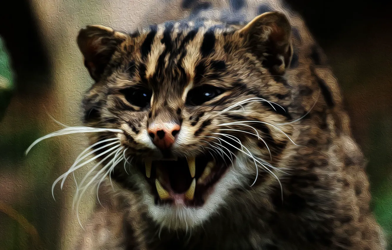 Photo wallpaper face, background, fishing cat