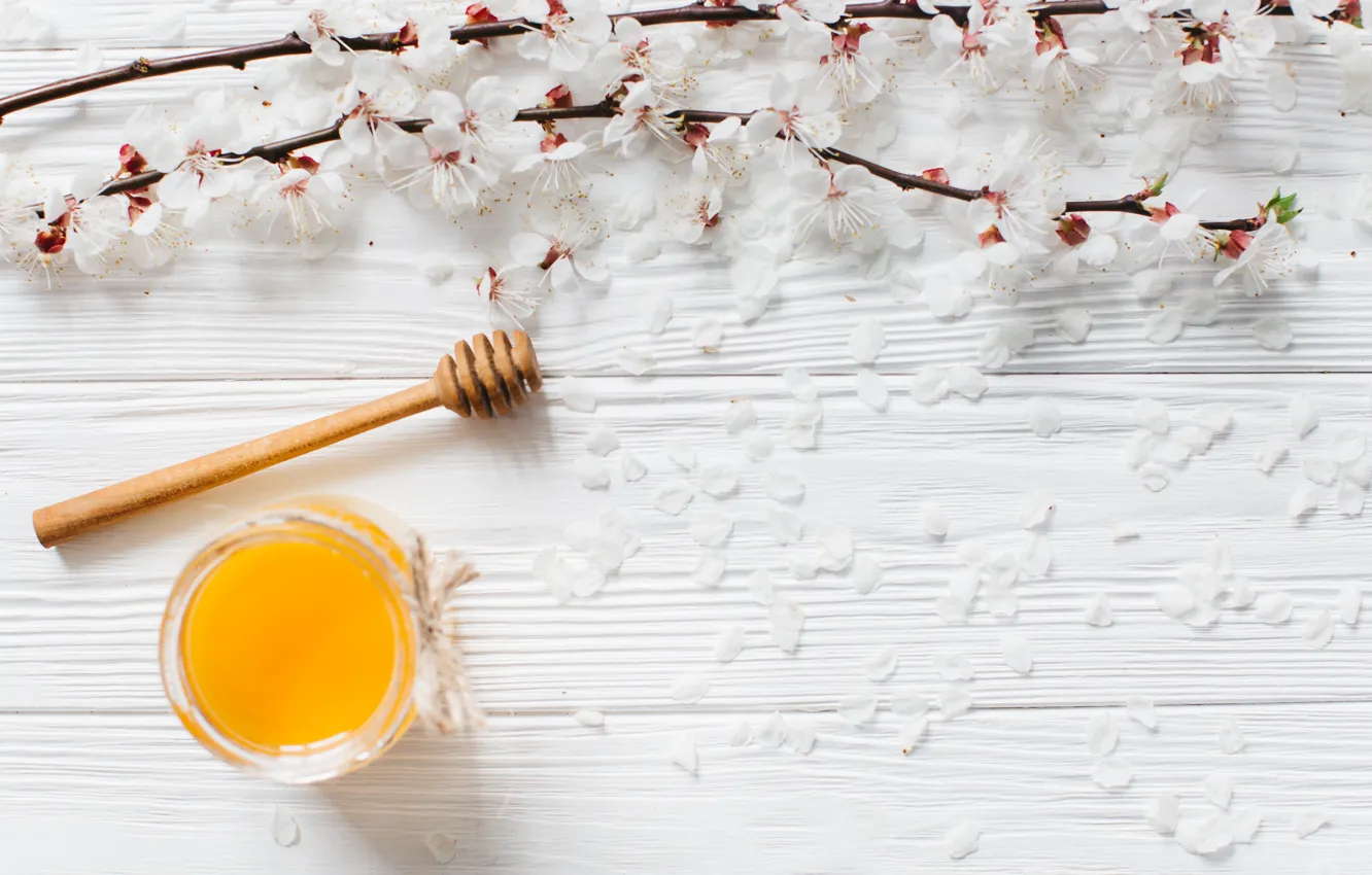 Photo wallpaper flowers, branches, spring, honey