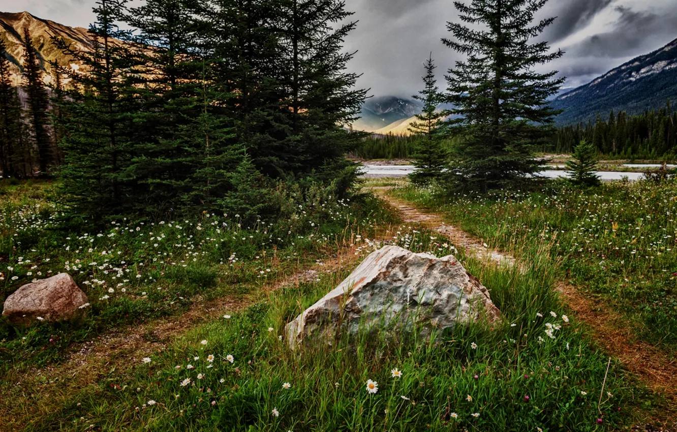 Photo wallpaper the sky, grass, clouds, trees, landscape, flowers, mountains, nature
