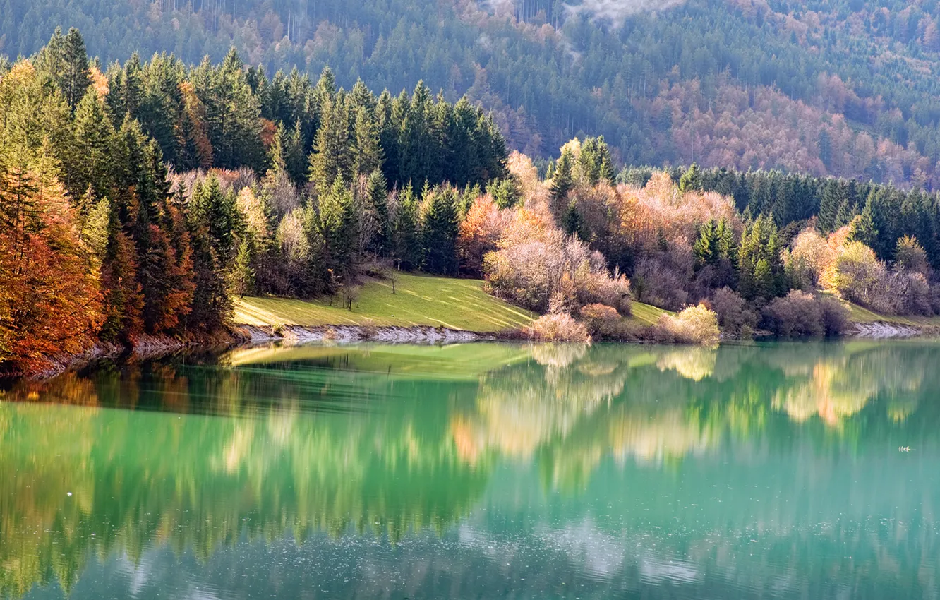 Photo wallpaper autumn, forest, nature, river, shore