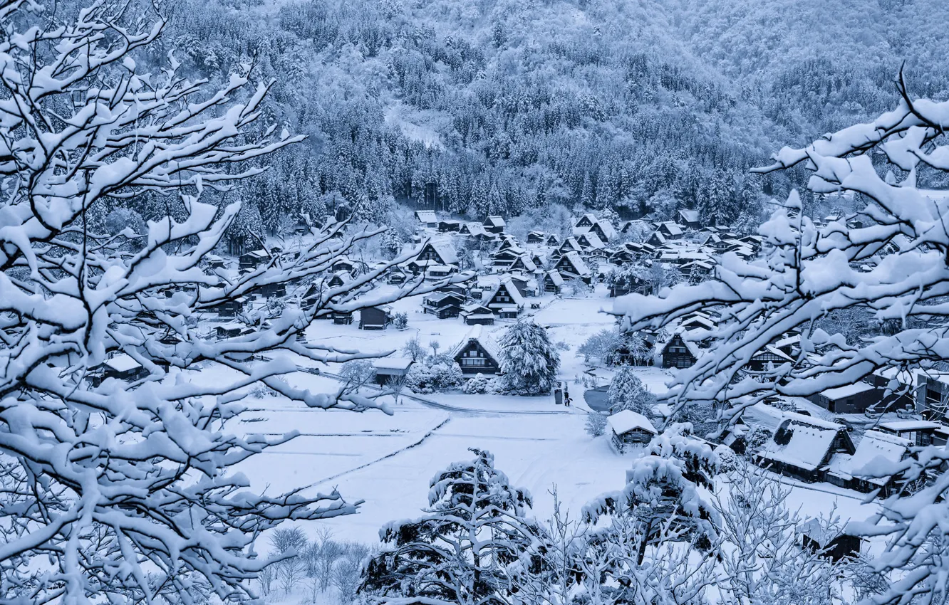 Photo wallpaper winter, snow, home, Japan, village, the island of Honshu, Gokayama, Shirakawa-go