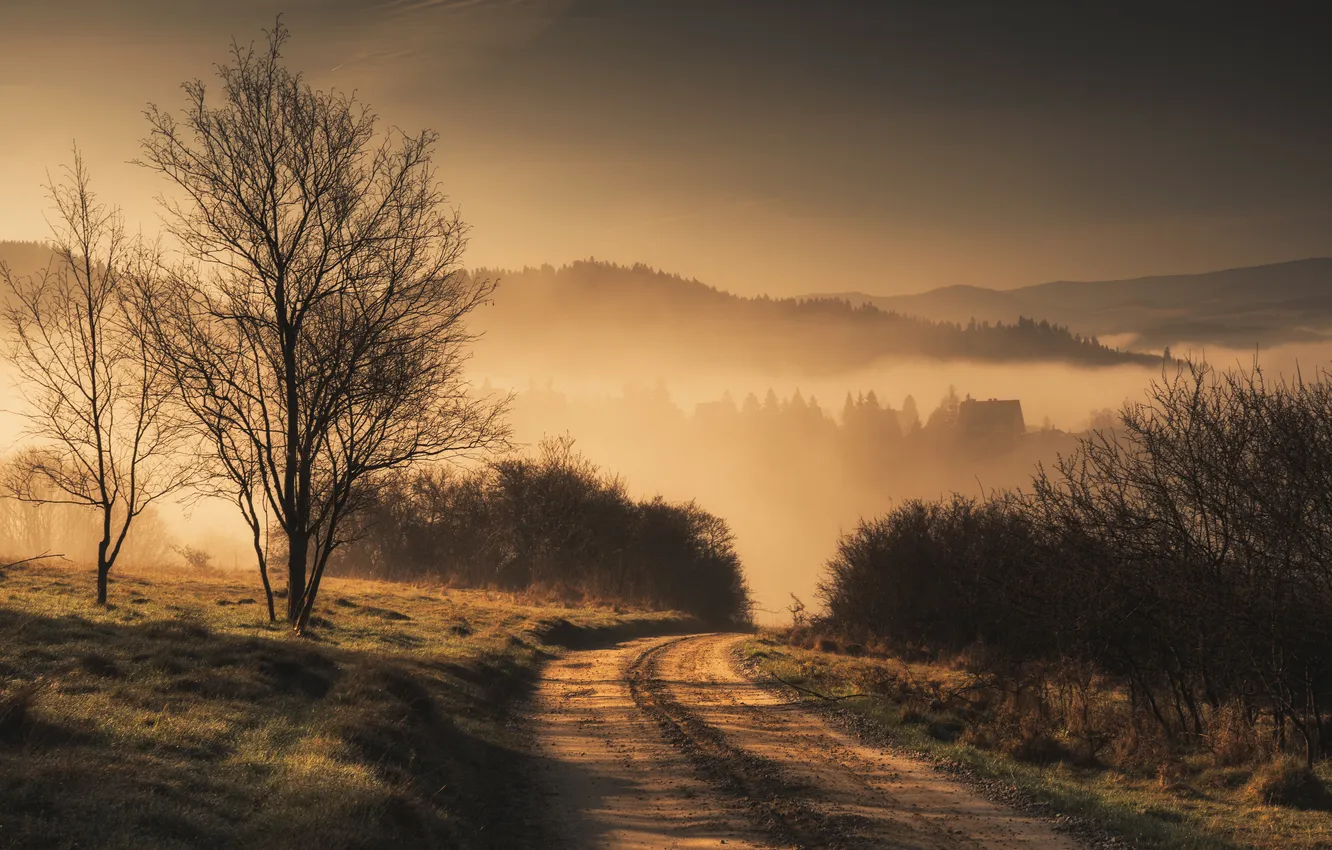Photo wallpaper road, fog, morning