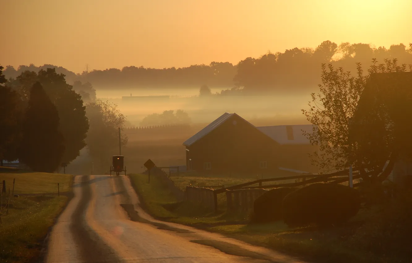 Photo wallpaper road, fog, village, morning