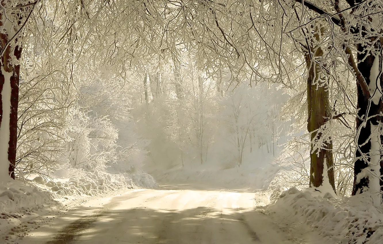 Photo wallpaper winter, road, light, snow, trees, branches, nature