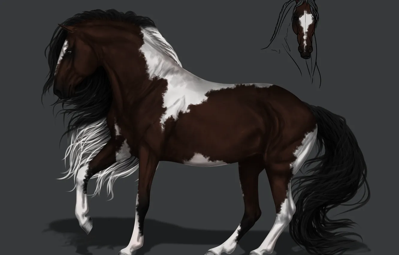 Photo wallpaper horse, horse, art