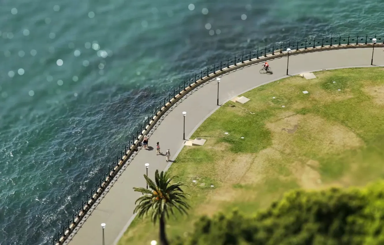 Photo wallpaper sea, glare, palm trees, lawn, coast, Australia, the fence, lights