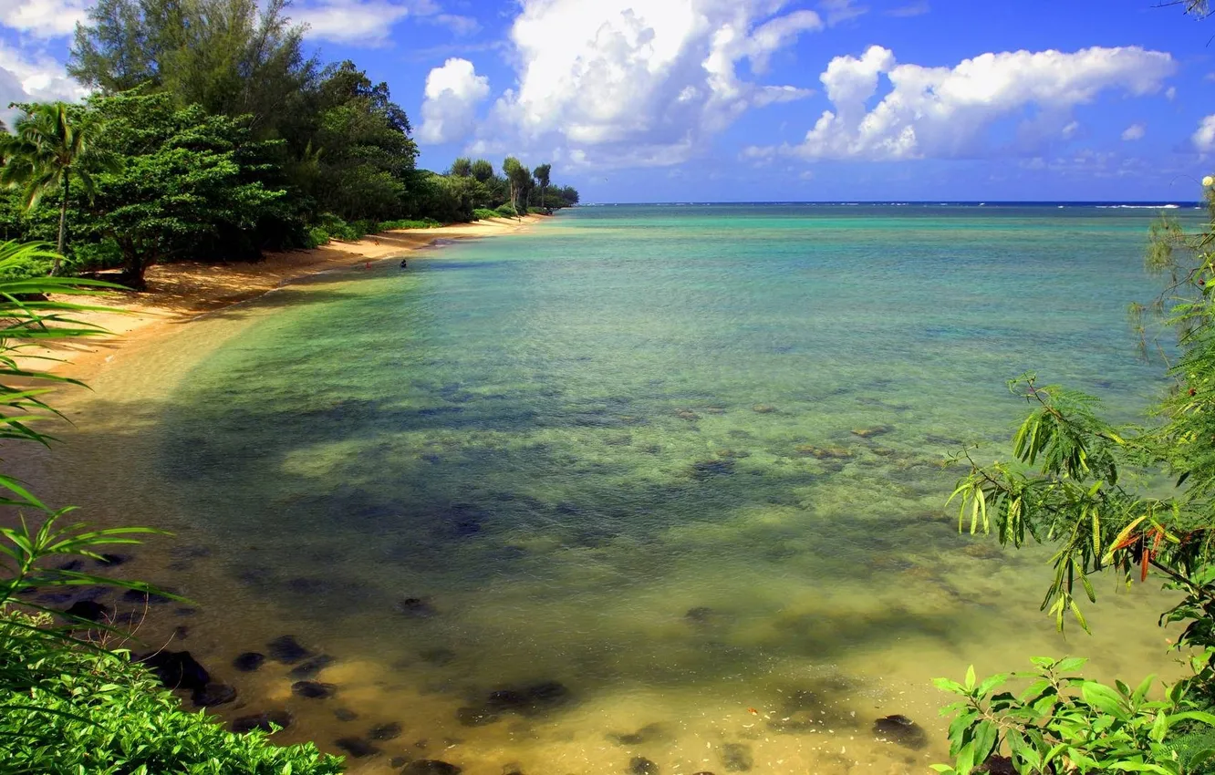 Photo wallpaper sea, water, clouds, trees