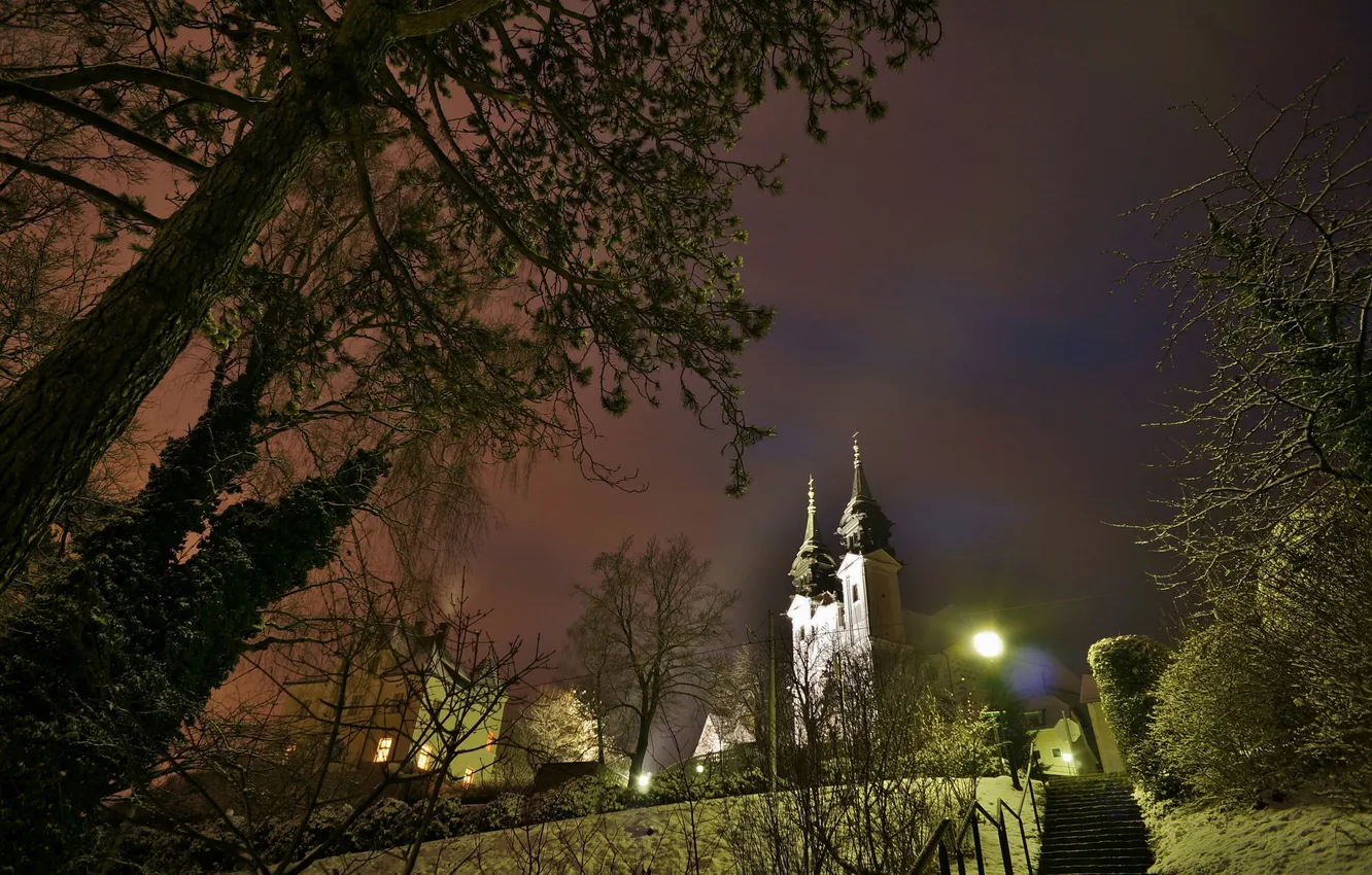 Photo wallpaper winter, snow, trees, night, the city, lights, Park, Poland