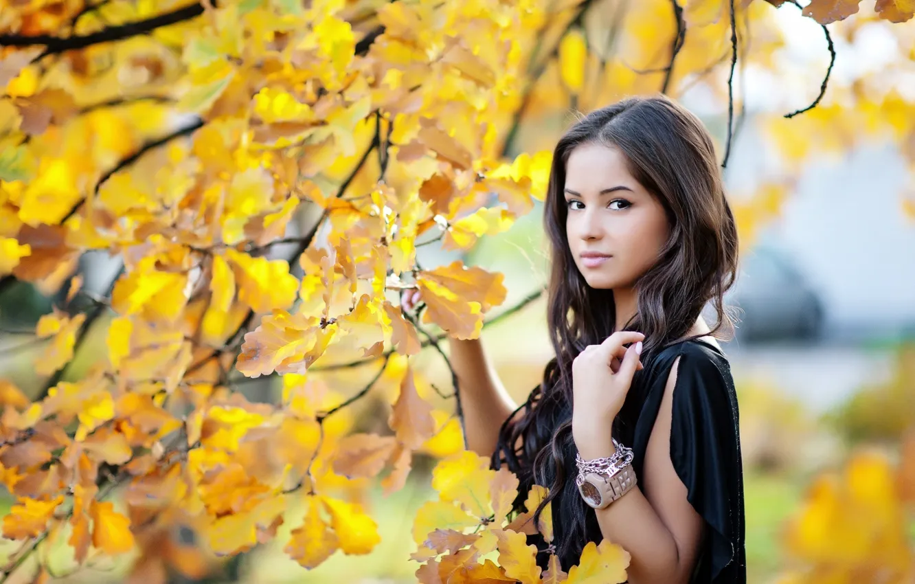 Photo wallpaper autumn, look, girl, pose, yellow leaves, beauty