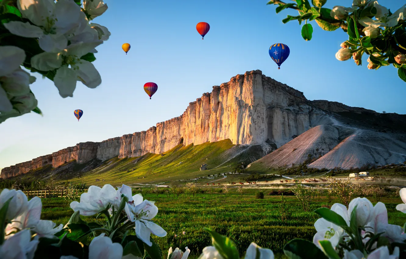 Photo wallpaper landscape, branches, balloons, rocks, Apple, flowering, Crimea, White Rock