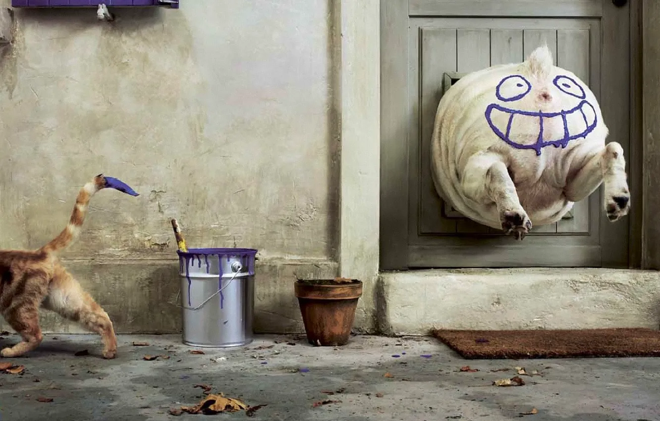 Photo wallpaper cat, dog, humor, Paint