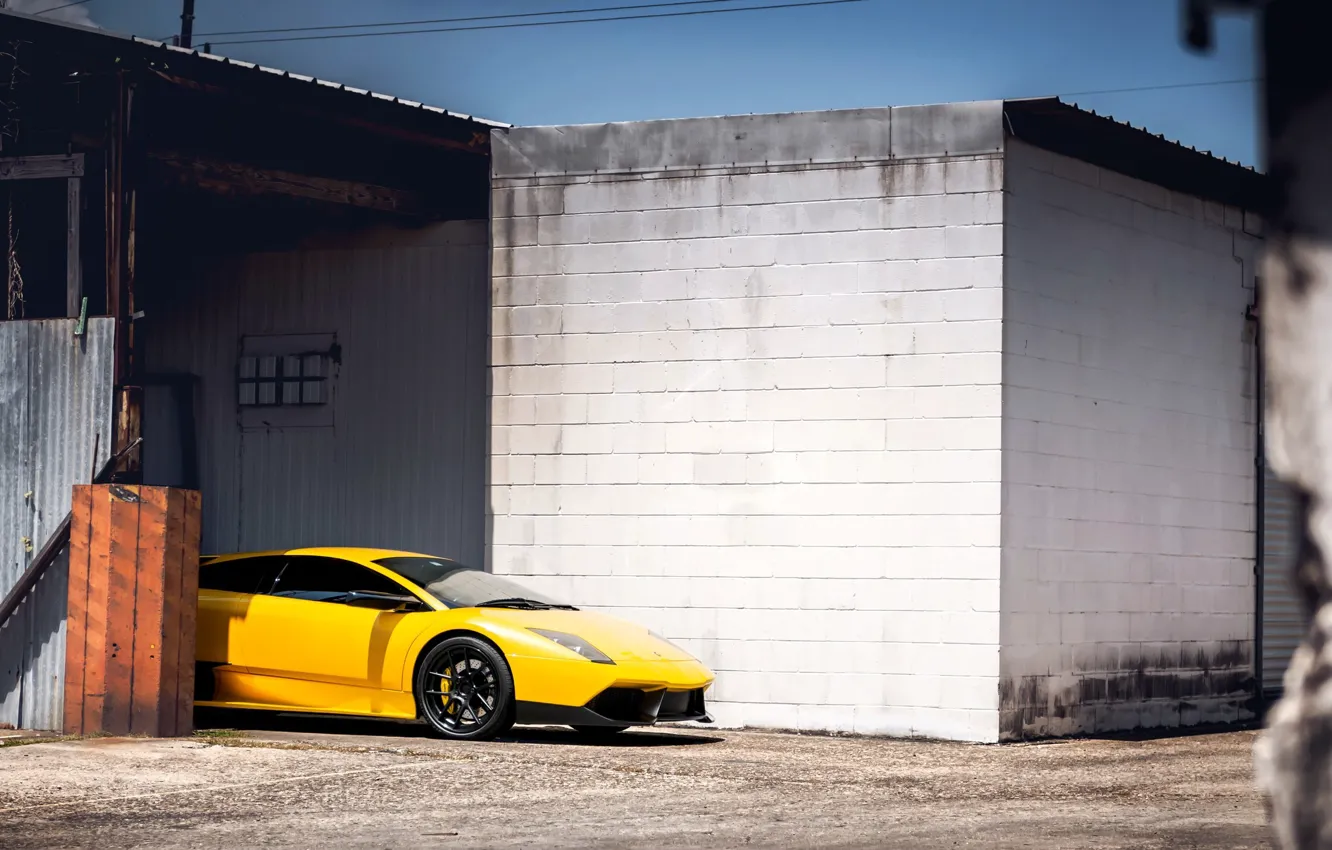 Photo wallpaper Lamborghini, yellow, Murcielago, adv