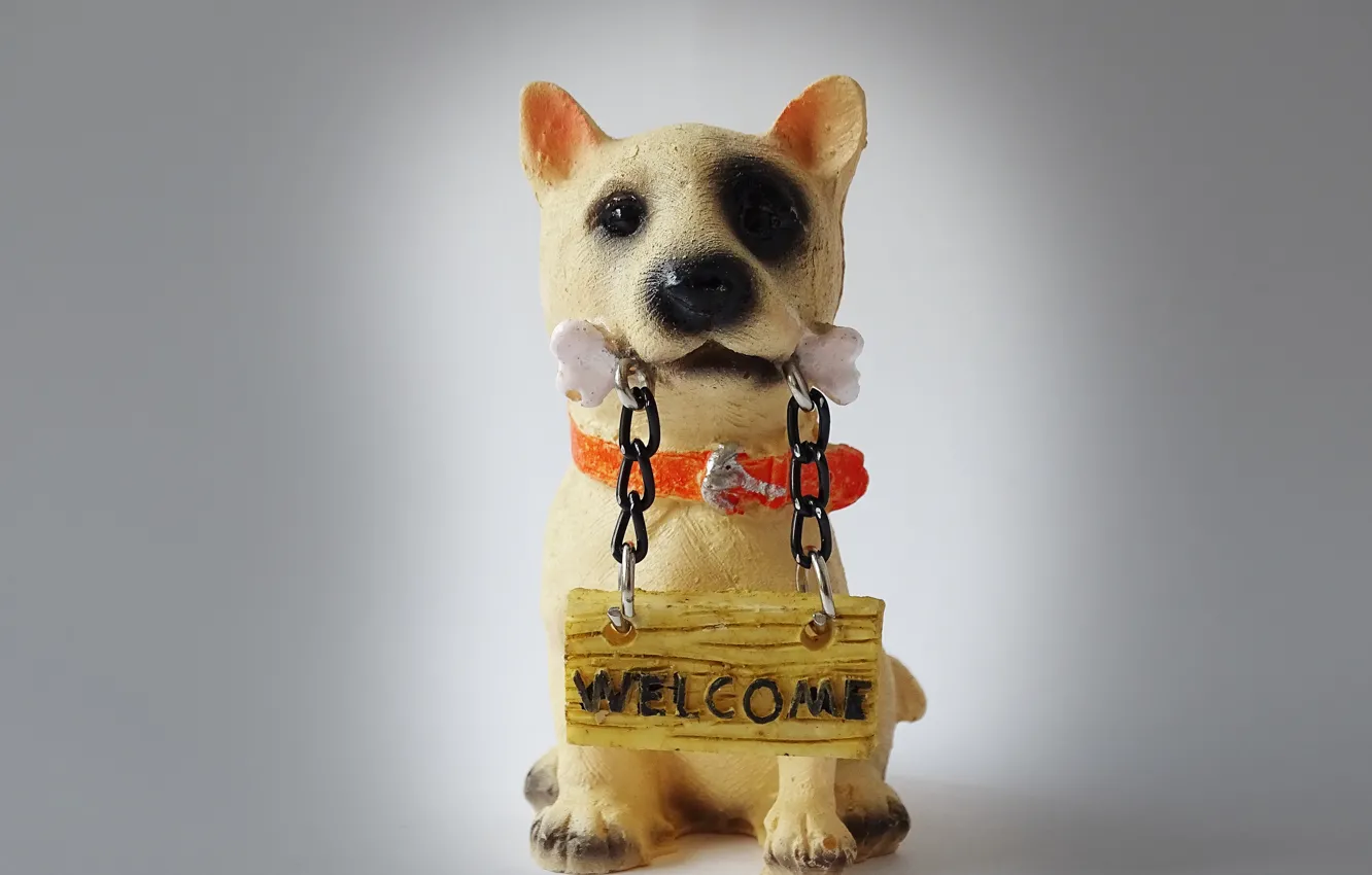 Photo wallpaper dog, figurine, souvenir