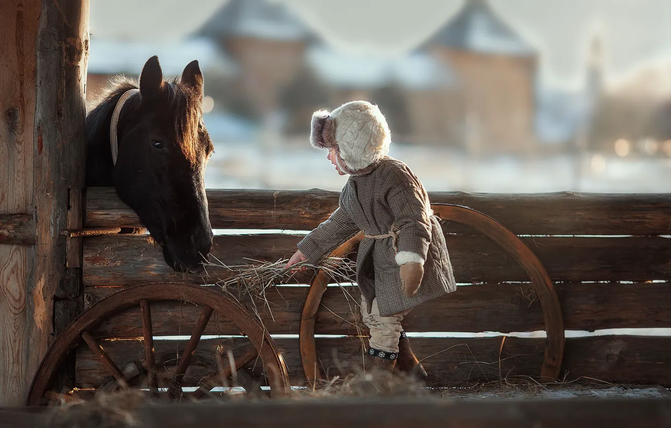Photo wallpaper winter, joy, horse, the fence, boy, hay, feeding