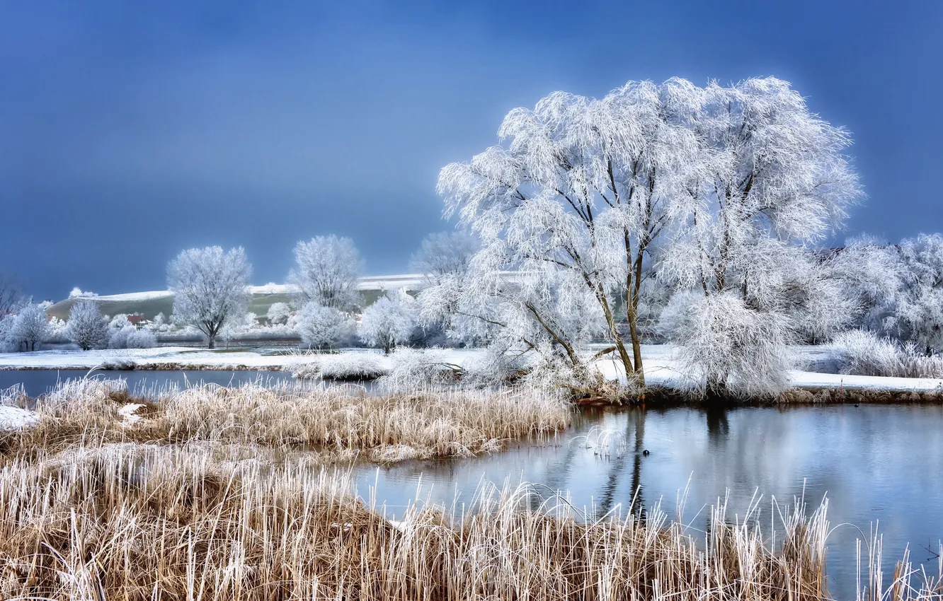 Photo wallpaper winter, frost, nature, lake